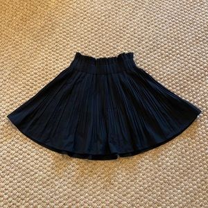 Zara Pleated Skater Skirt